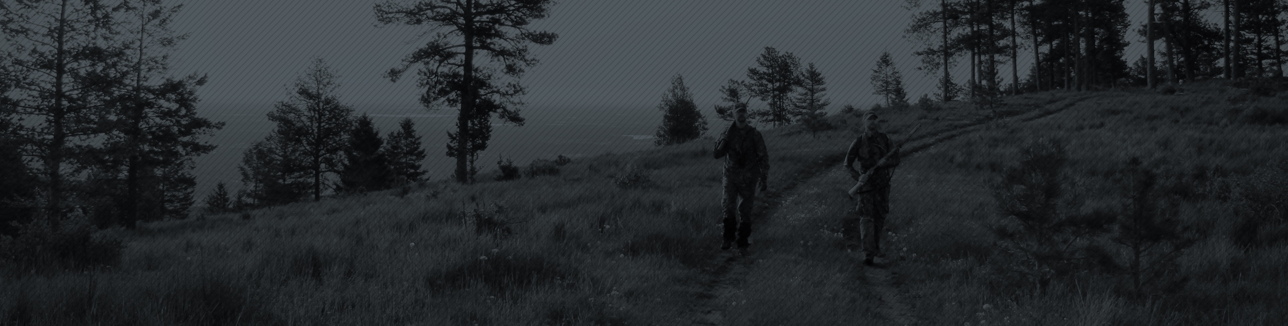 Outly : About Us